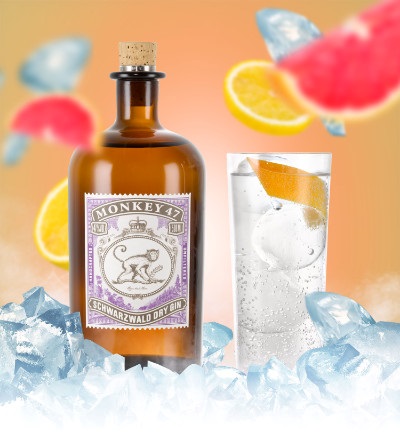 MONKEY 47 & TONIC