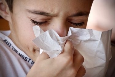 Motorový filtr do vysavače a alergie