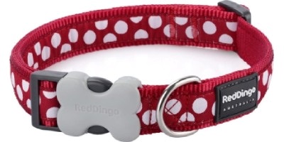 Nylonový obojek pro staforda