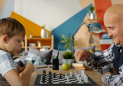 Particula GoChess Mini