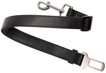 Bezpečnostní pás pes