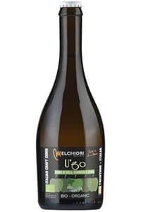 Pivo cider