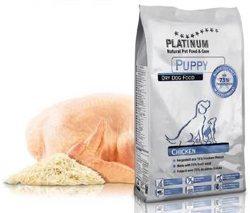 Granule Platinum puppy