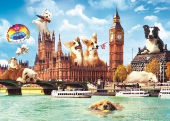 Puzzle London Hunde