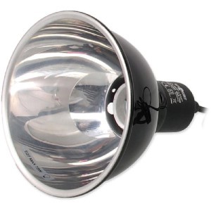 lampa do terária