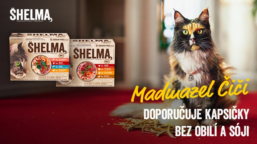 Prémiová kočičí krmiva Shelma