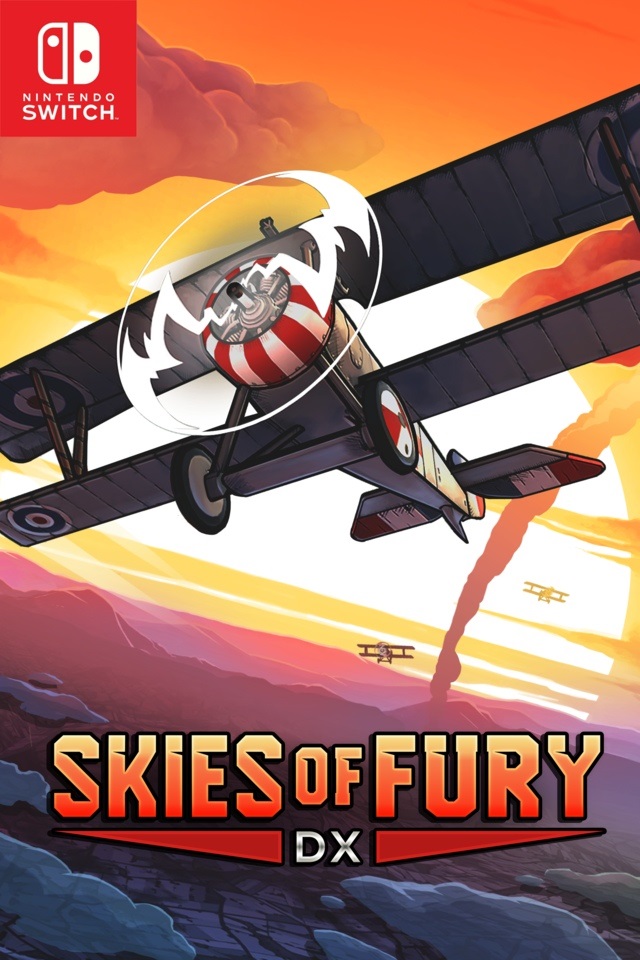 Skies of Fury DX; recenze
