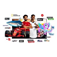 skylink tv