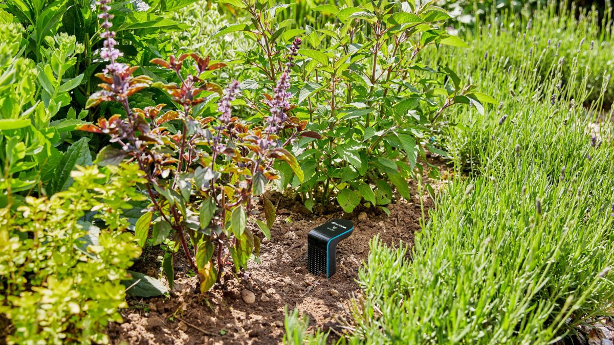 Smarte Garten