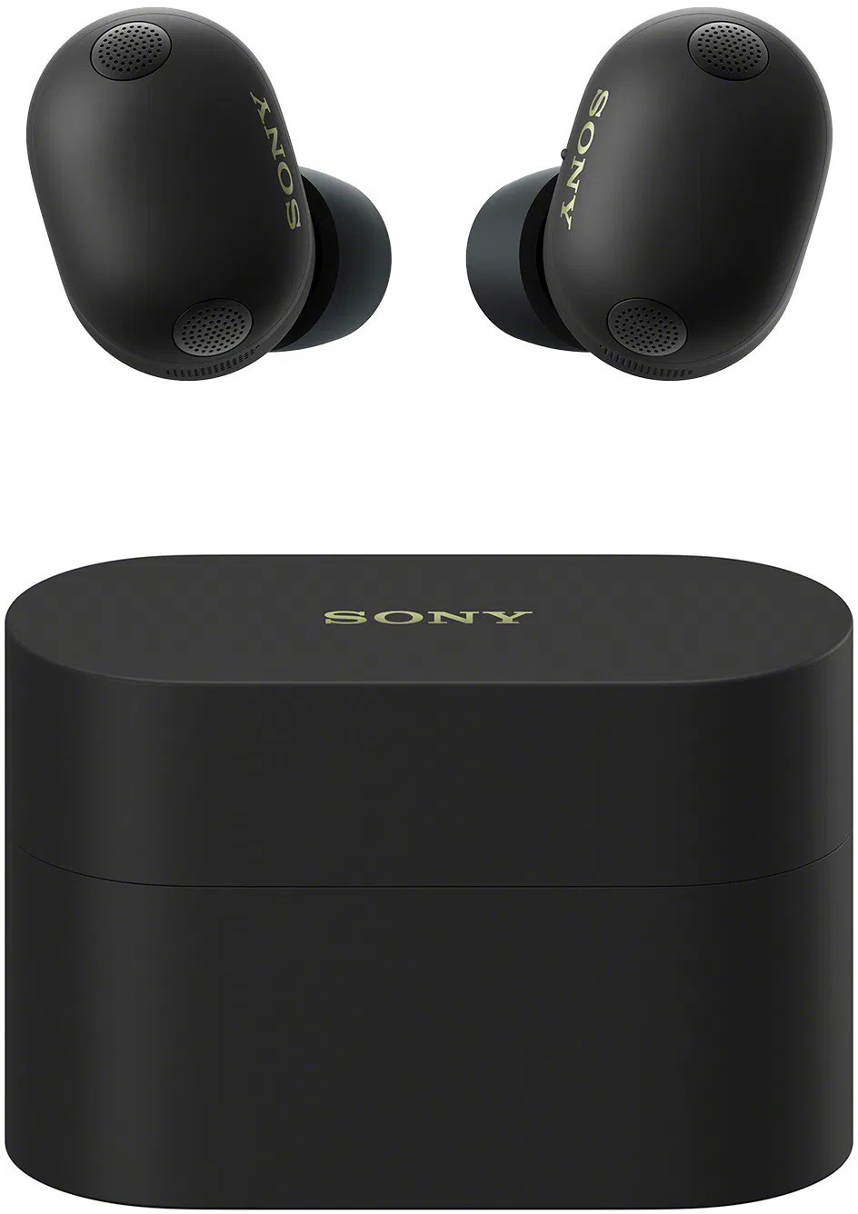 Sony True Wireless WF-1000XM6