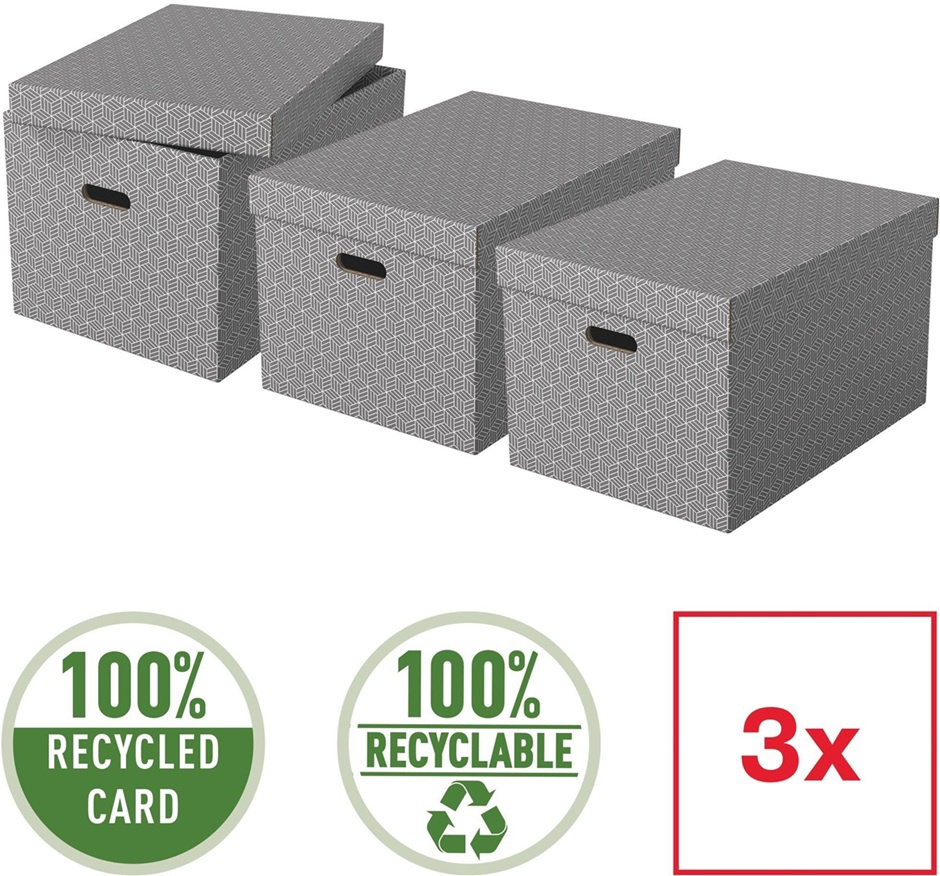 Esselte Home archival box