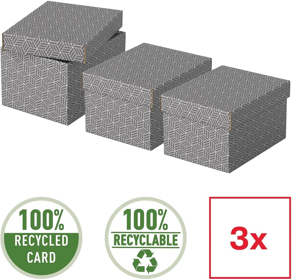 Esselte Home storage box