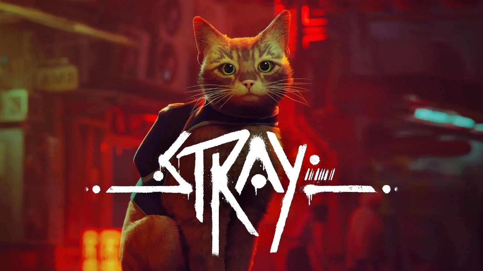 Stray recenze
