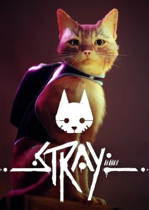 Stray; recenze