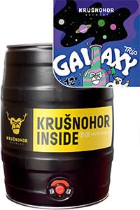 Pivo ale