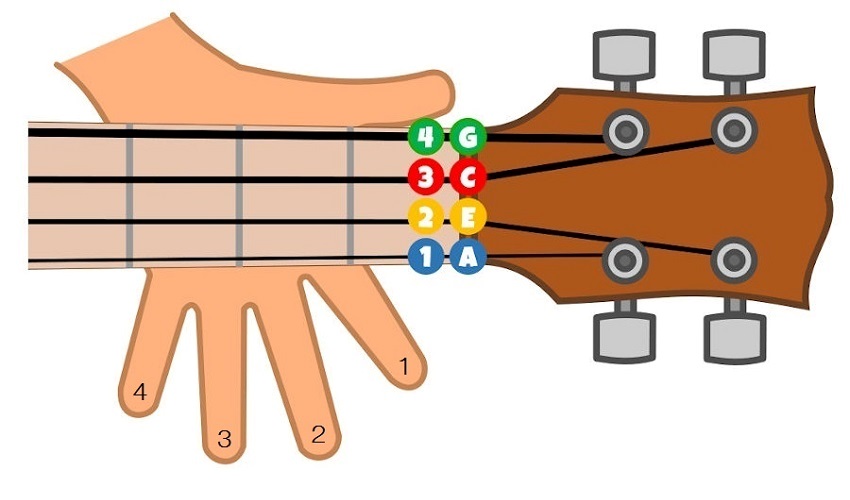 Jak se naučit akordy na ukulele?
