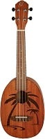 Ukulele koncertní