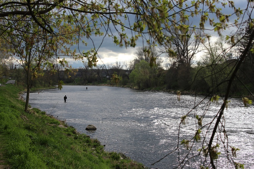 urban fishing