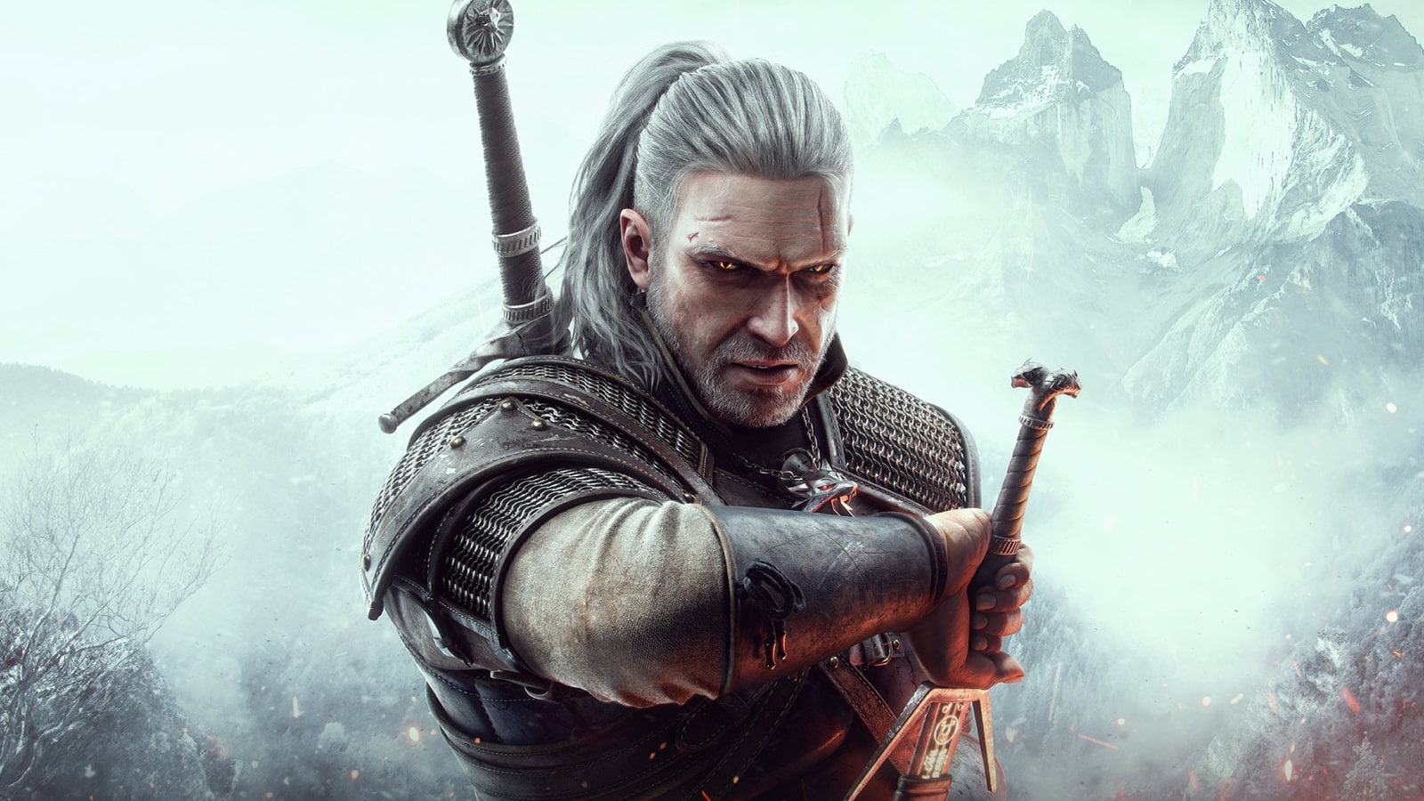 Witcher; screenshot: cover