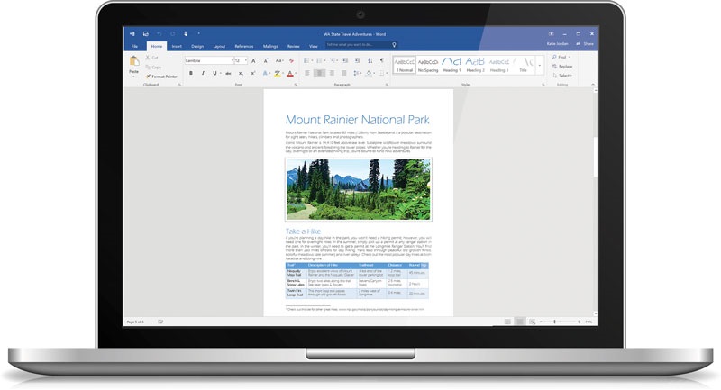 Microsoft Word