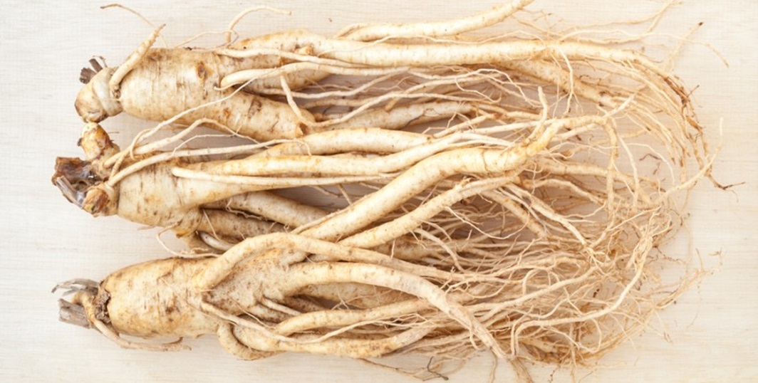 Ženšen