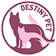logo Destiny