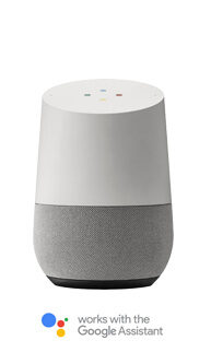 Works with Google Assistant