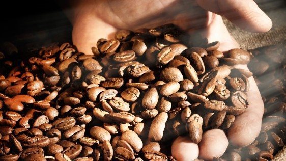 Káva AlzaCafé Kenya Kamvara Embu, 250g