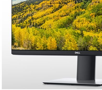 Dell P2421D