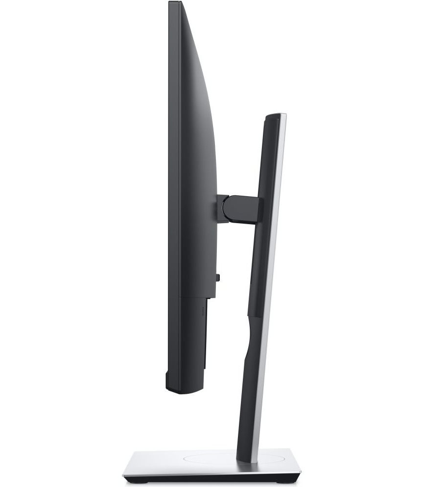 Dell P2421D