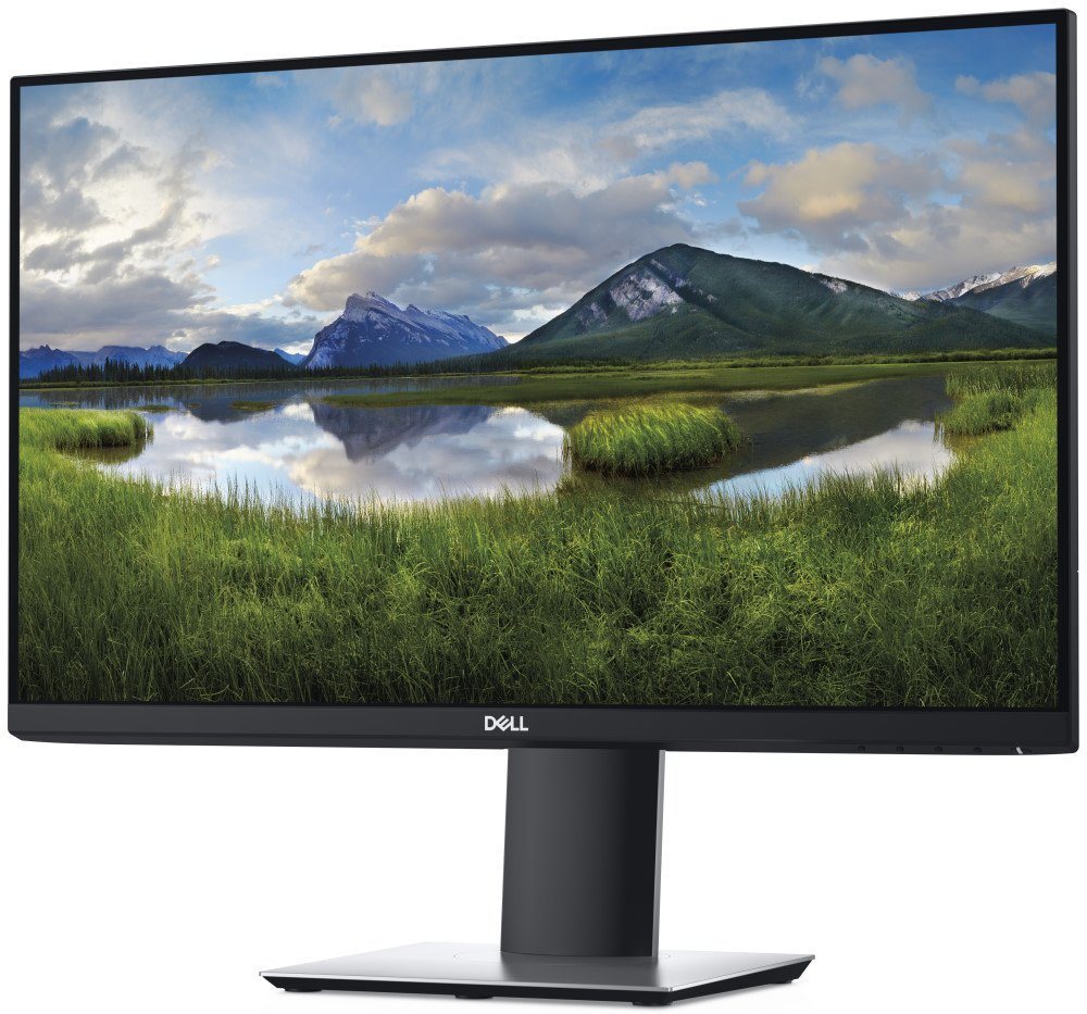 Dell P2421D