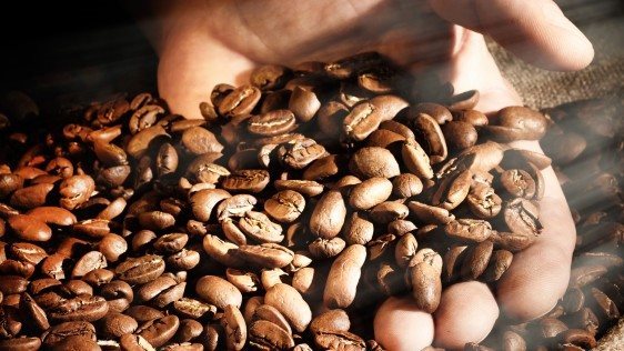 Káva AlzaCafé, zrnková, 4x250g
