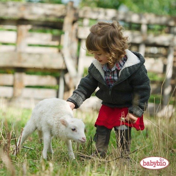 Kojenecké mléko BABYBIO CAPREA 2 Kozí mléko 800 g