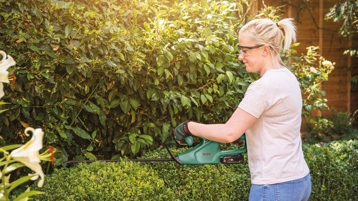 Bosch EasyHedgeCut 18-45 Hedge Trimmer (1x2.0 Ah) Bosch EasyHedgeCut 18-45 Hedge Trimmer (1x2.0 Ah)