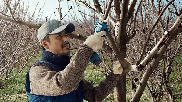 Bosch Pro Pruner Professional cordless garden pruners set (2x 3.0Ah/12V, carton)