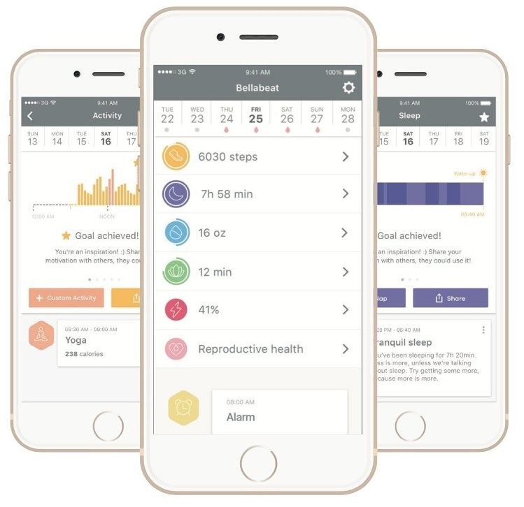 Bellabeat Leaf Urban Silver 