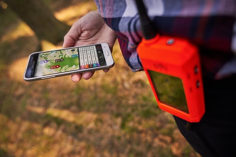 Dogtrace DOG GPS X30 Dog Collar