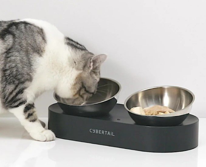 Fresh Nano Metal CyberTail cat bowl