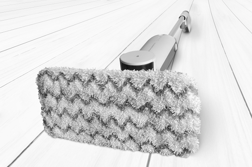 Steam mop CONCEPT CP2100