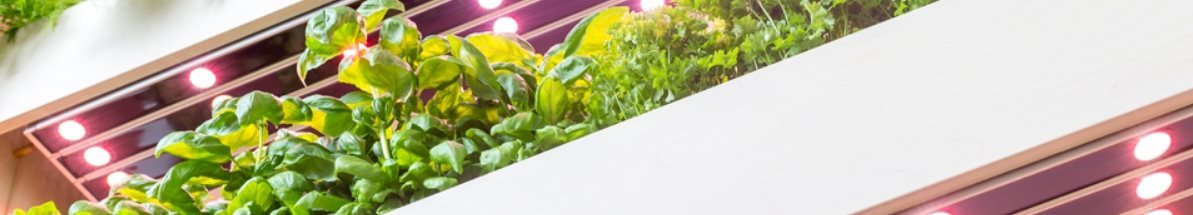 Click And Grow THE WALL FARM MINI