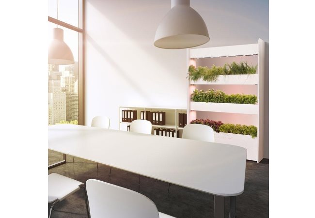 Click And Grow THE WALL FARM MINI