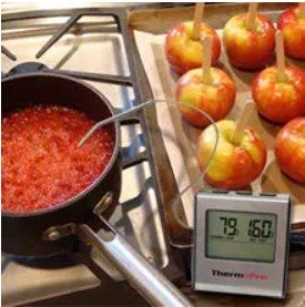 ThermoPro TP16 thermometer ThermoPro TP16 thermometer