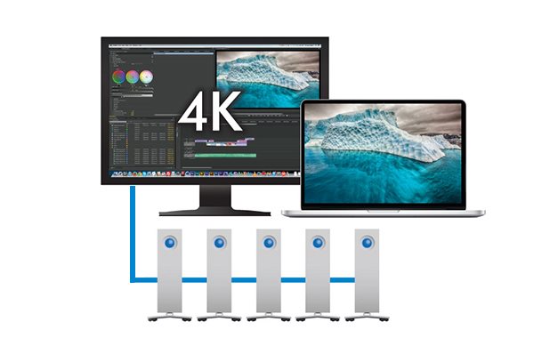 LaCie 3.5" d2 Thunderbolt 2