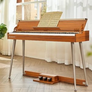 Donner DDP-80 Plus Donner DDP-80 Plus