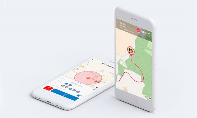 Tractive GPS XL Echtzeitüberwachung