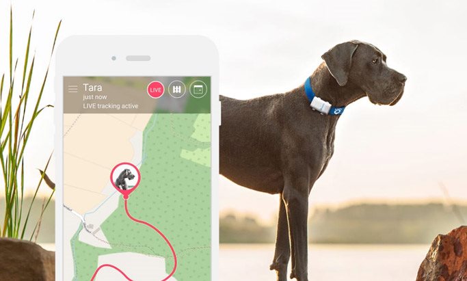 Tractive GPS XL Bewegungshistorie