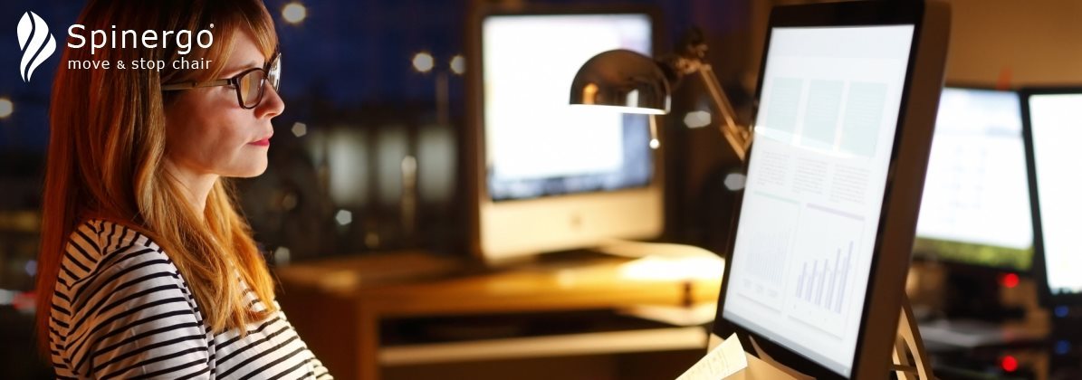 SPINERGO Business