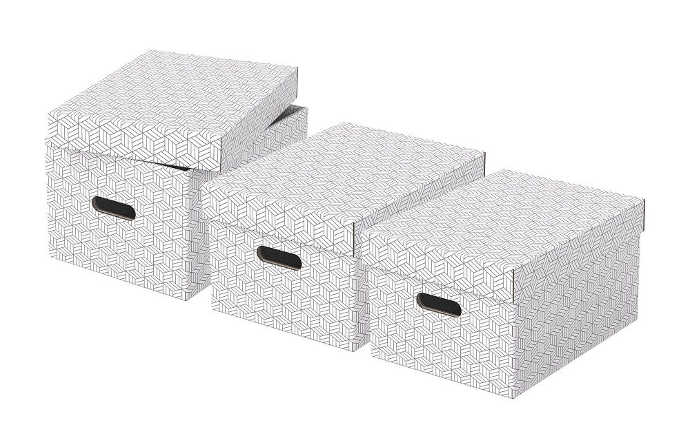 Esselte Home storage box