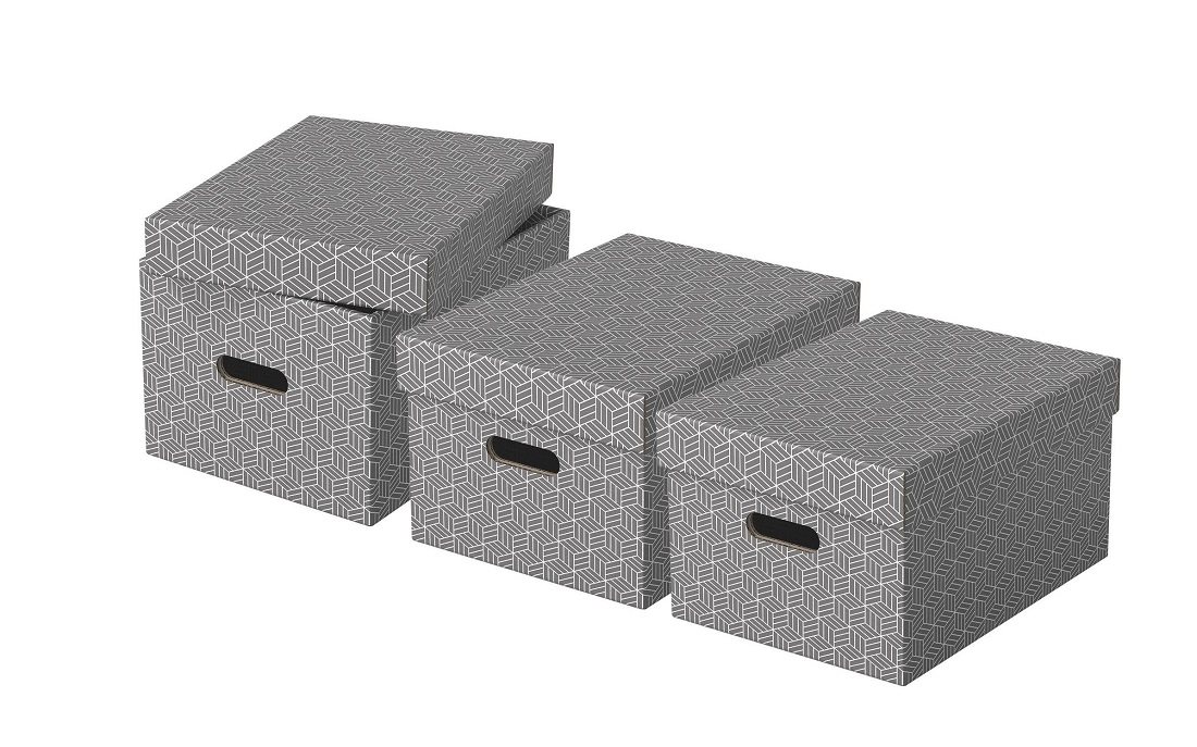 Archivační krabice Esselte Home