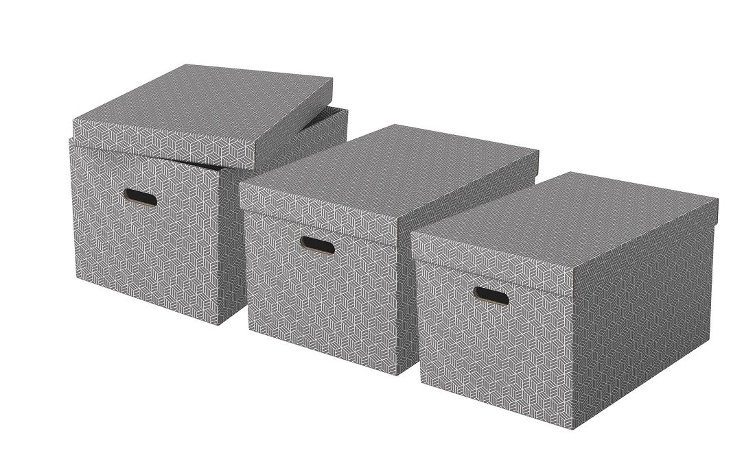 Esselte Home archival box